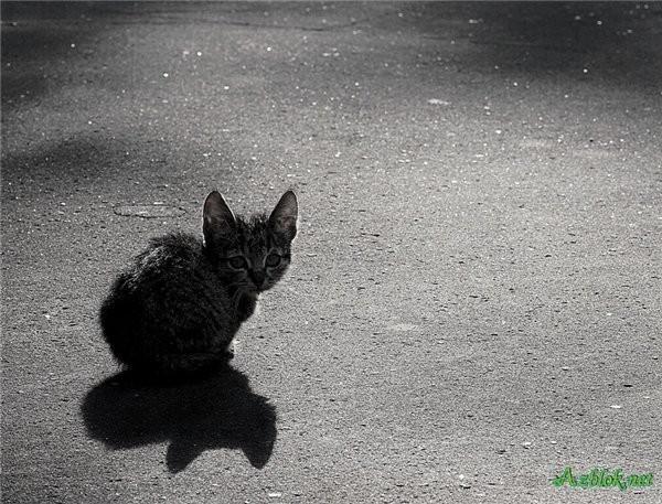 Поездка в город