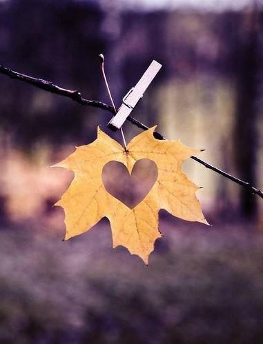 Я РАДА ОСЕНИ