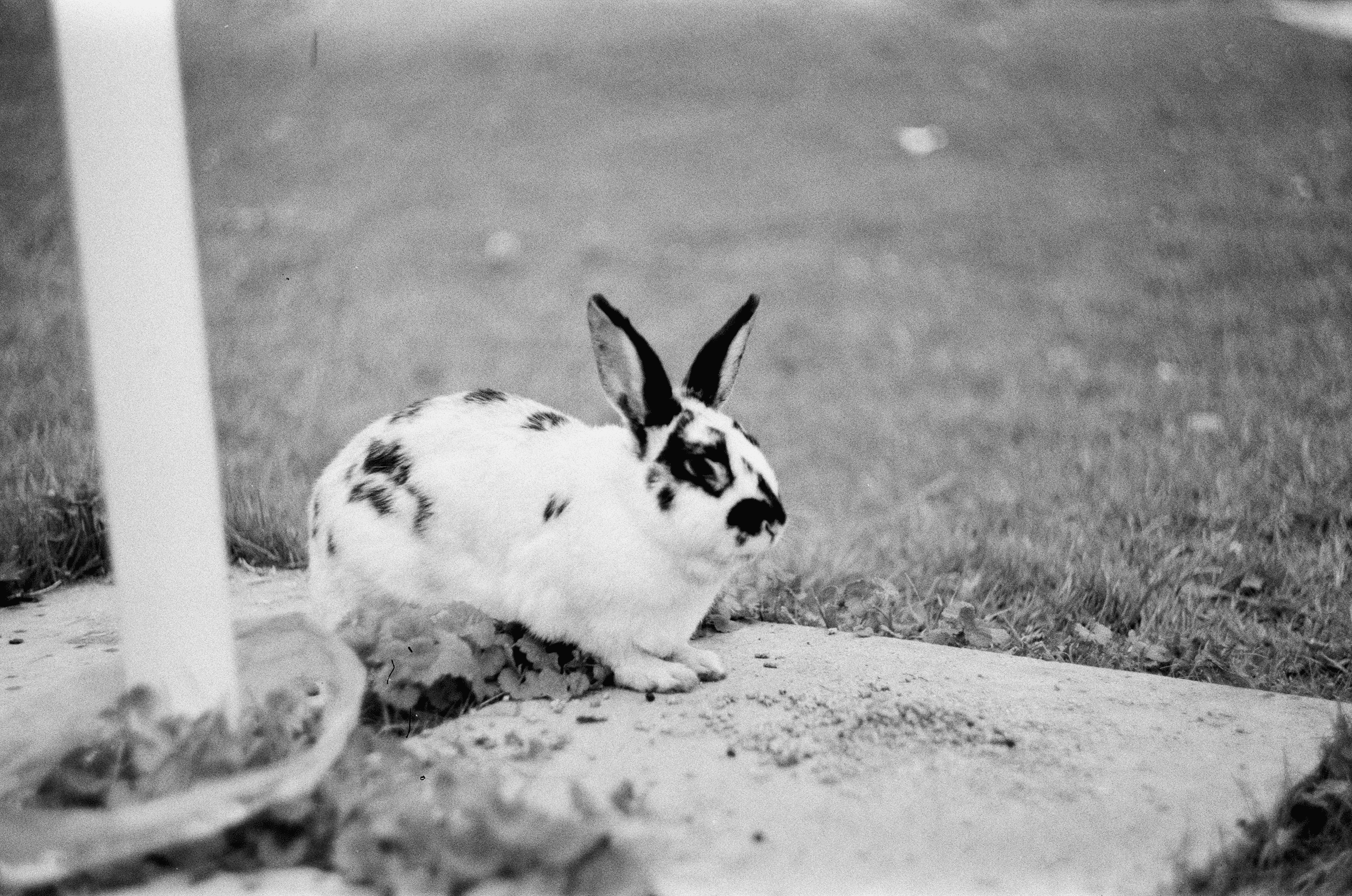 Театр теней 