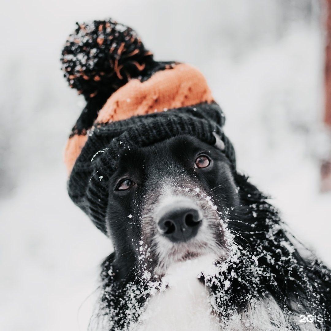 17 С МИНУСОМ - ДОБРОГО МОРОЗНОГО УТРА ))