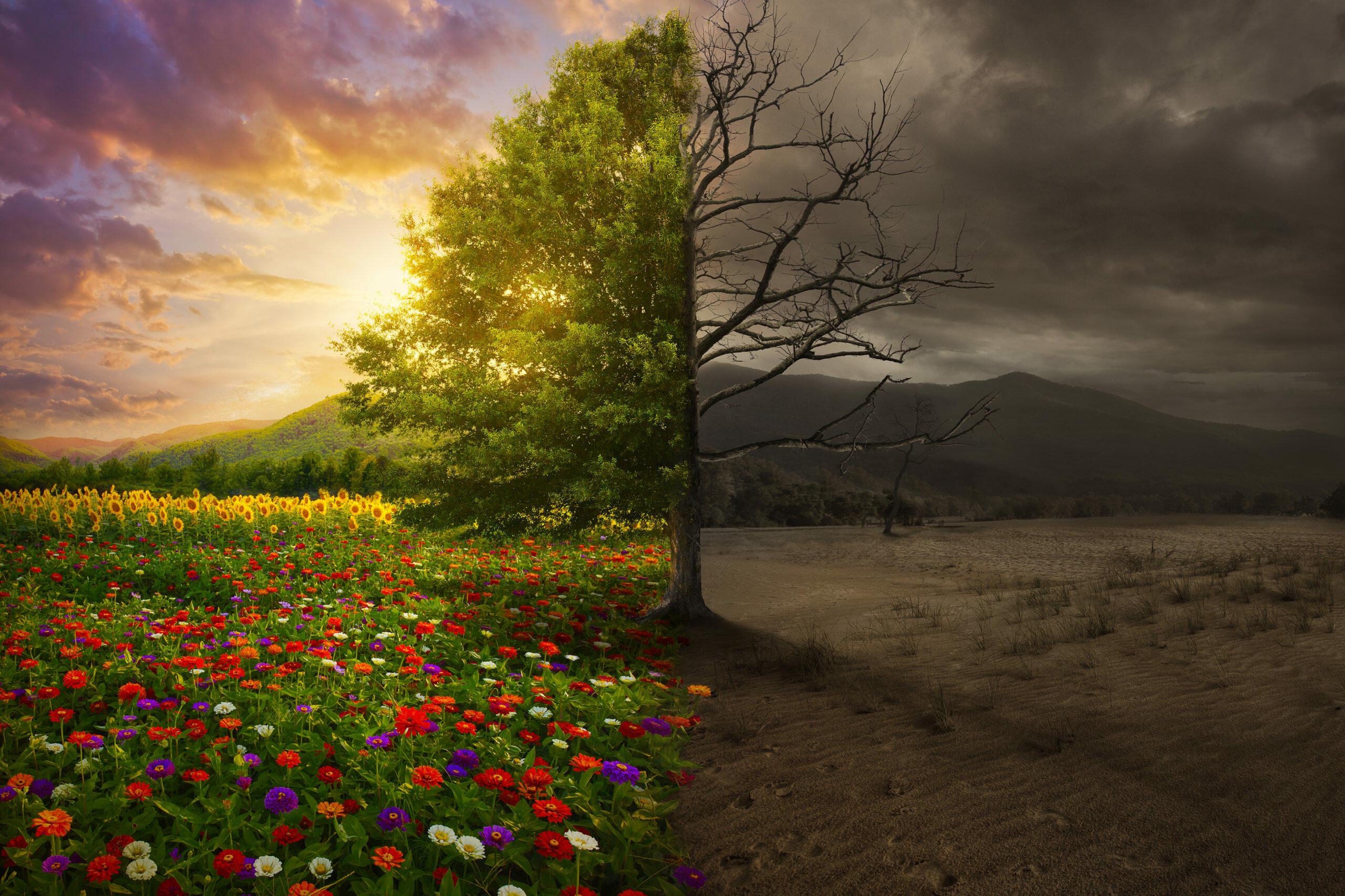 В этой жизни пронзительной...