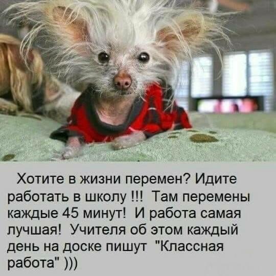 Ведущий ребёнка