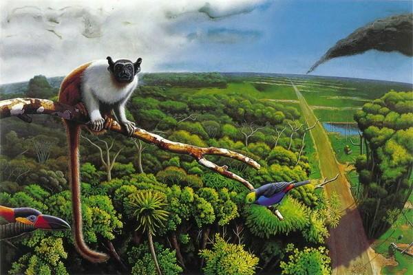 Зелёный ад сельвы