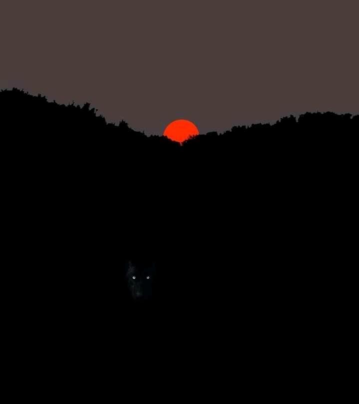 Исчезновение...