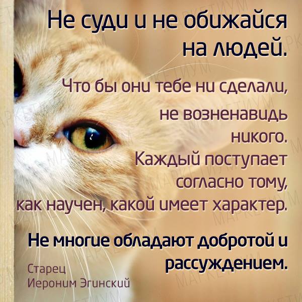 свекрови от 21. 05. 2011