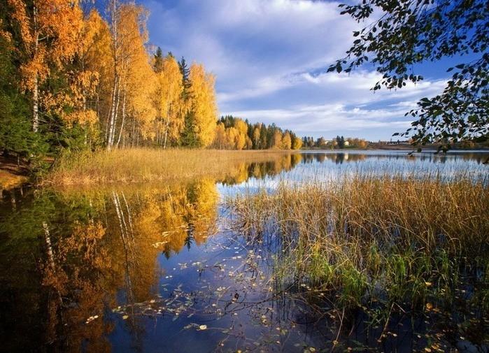 Закружился октябрь безрассудно.