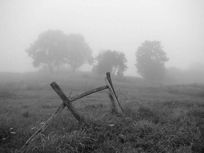 Край мой неласковый.