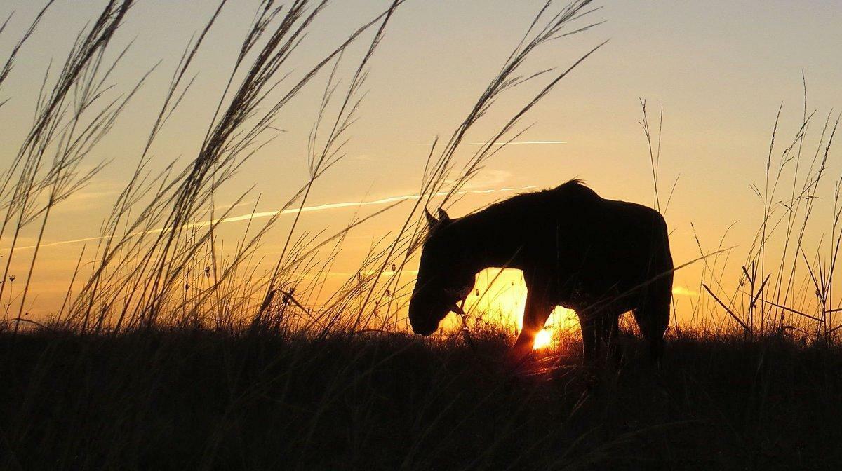Далеко от глаз