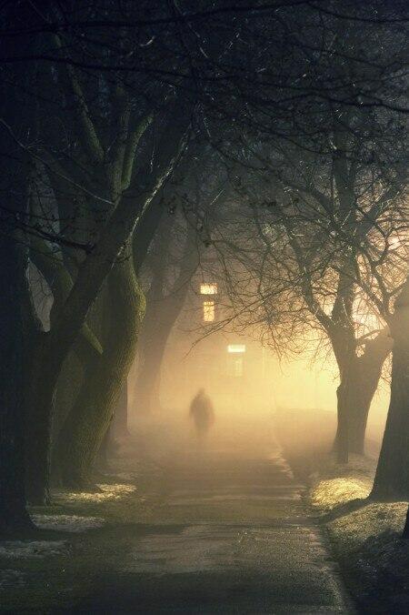 Незнакомец