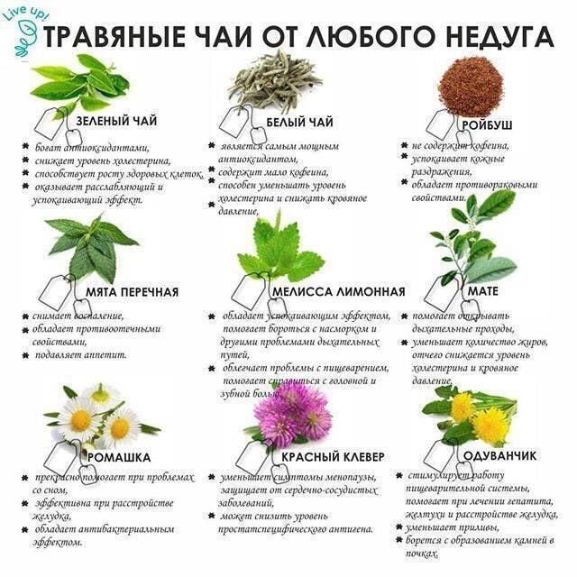 Полезные травы