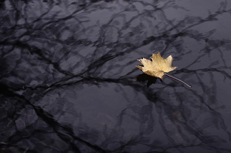 Невесенняя капель