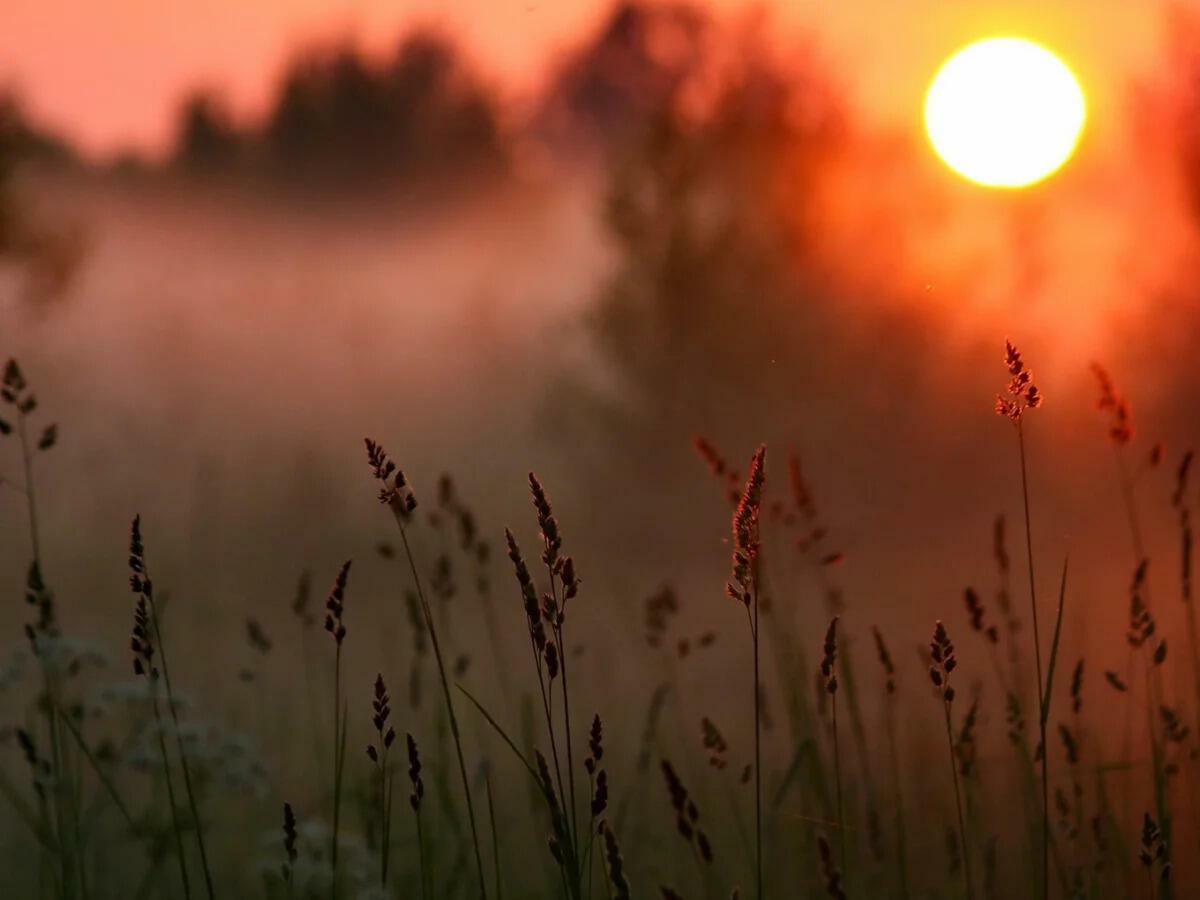 Я хотел идти за солнцем