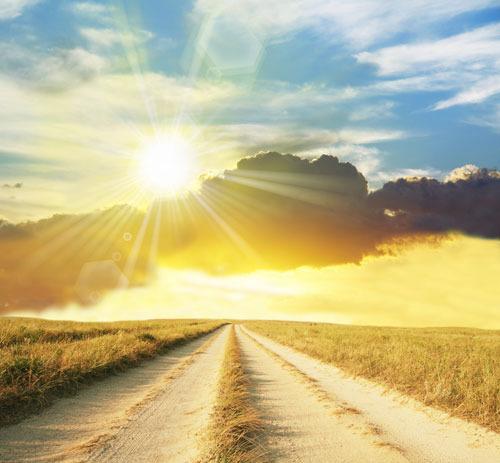 История человечества