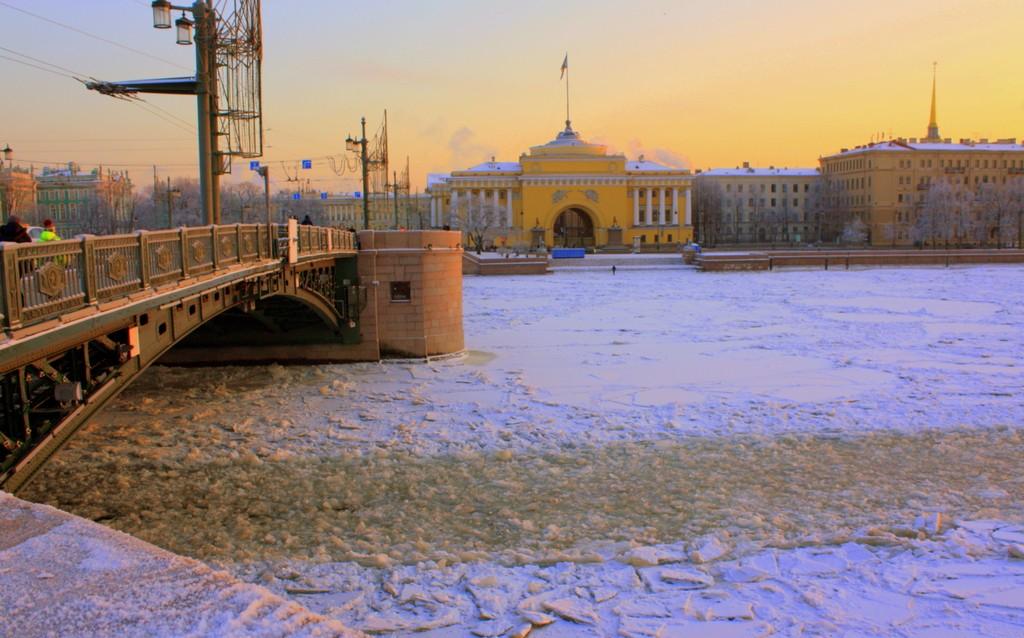 Вдвоём с котом