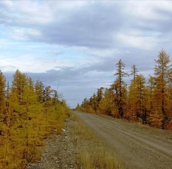 Осеннее