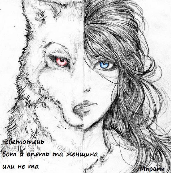 Светотень. Хайга