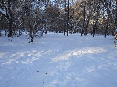 Тропа засыпана снежком...