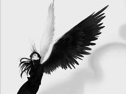 А кто проводник?