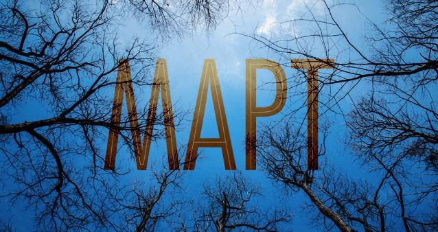 Странички марта. Дневник