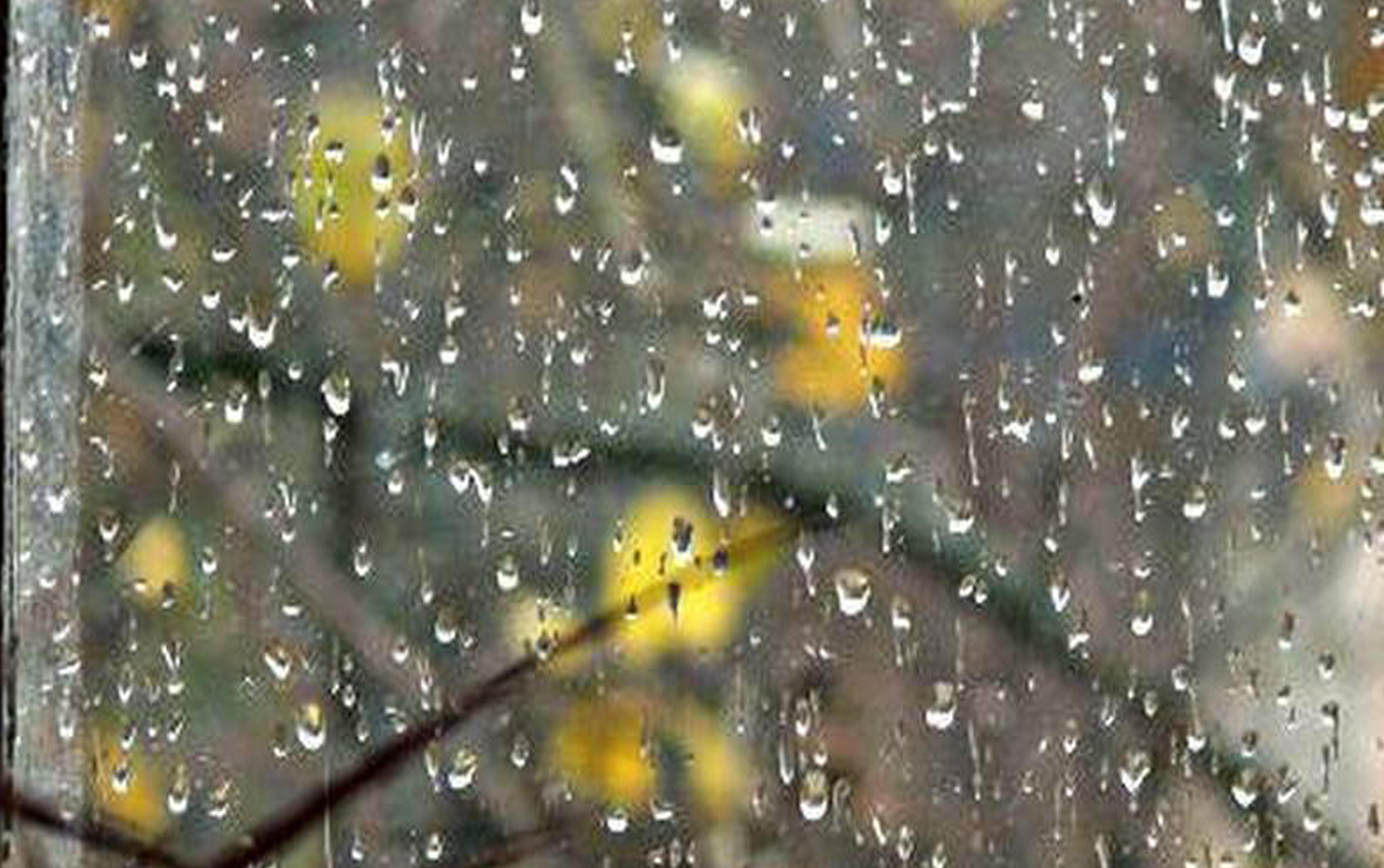 «Опять дожди и ноль без плюса»