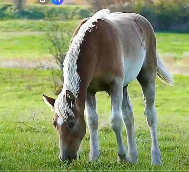 Бумага всё стерпит! Пиши но, красотк