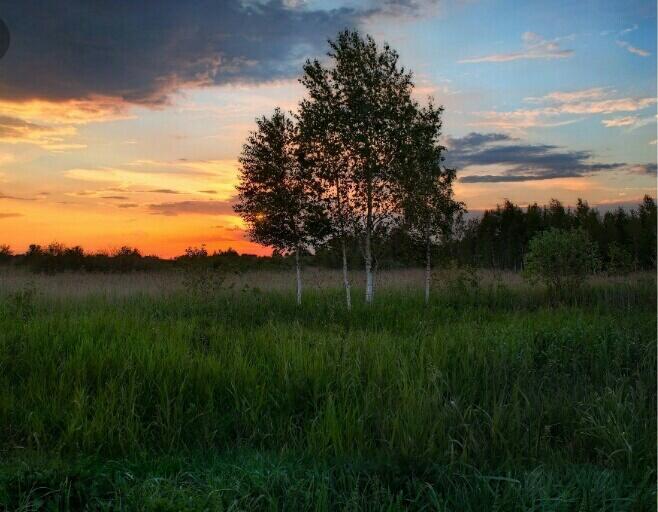 За околицей солнце клонится