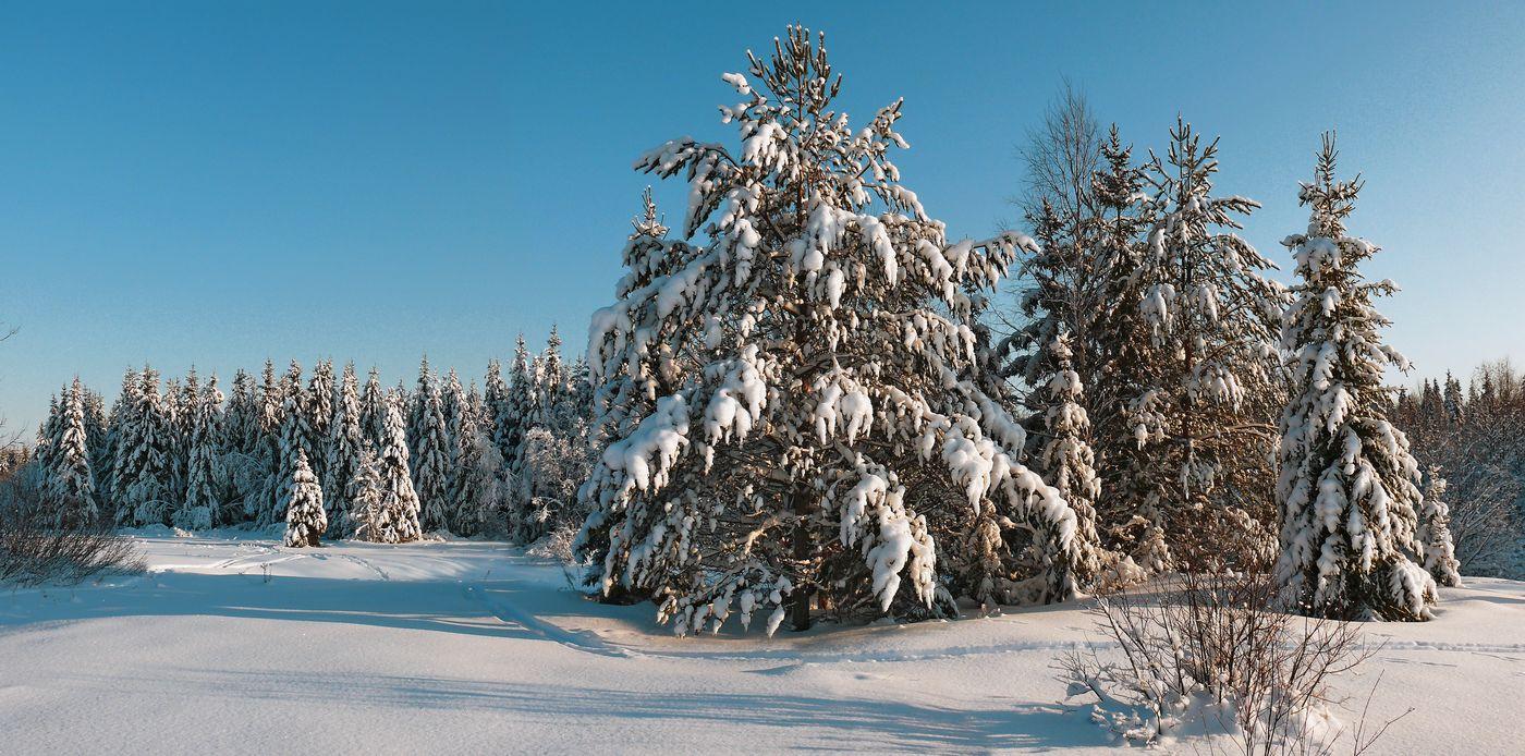 ТОРЖЕСТВО ЧУДЕС