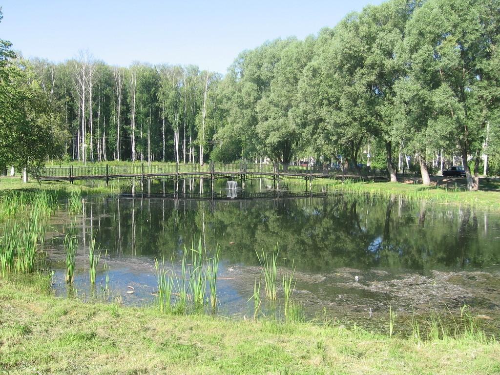 НЕДОЛГИЙ ДАР