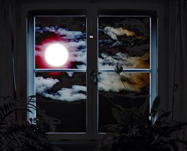 Возьмите мою ночь