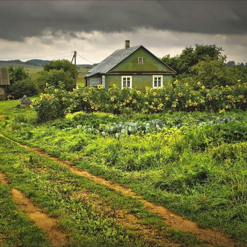 Покинув дом 