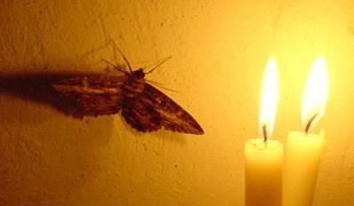 День после свадьба вековухи...