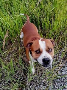 Какие любящие глазки - умиленье!