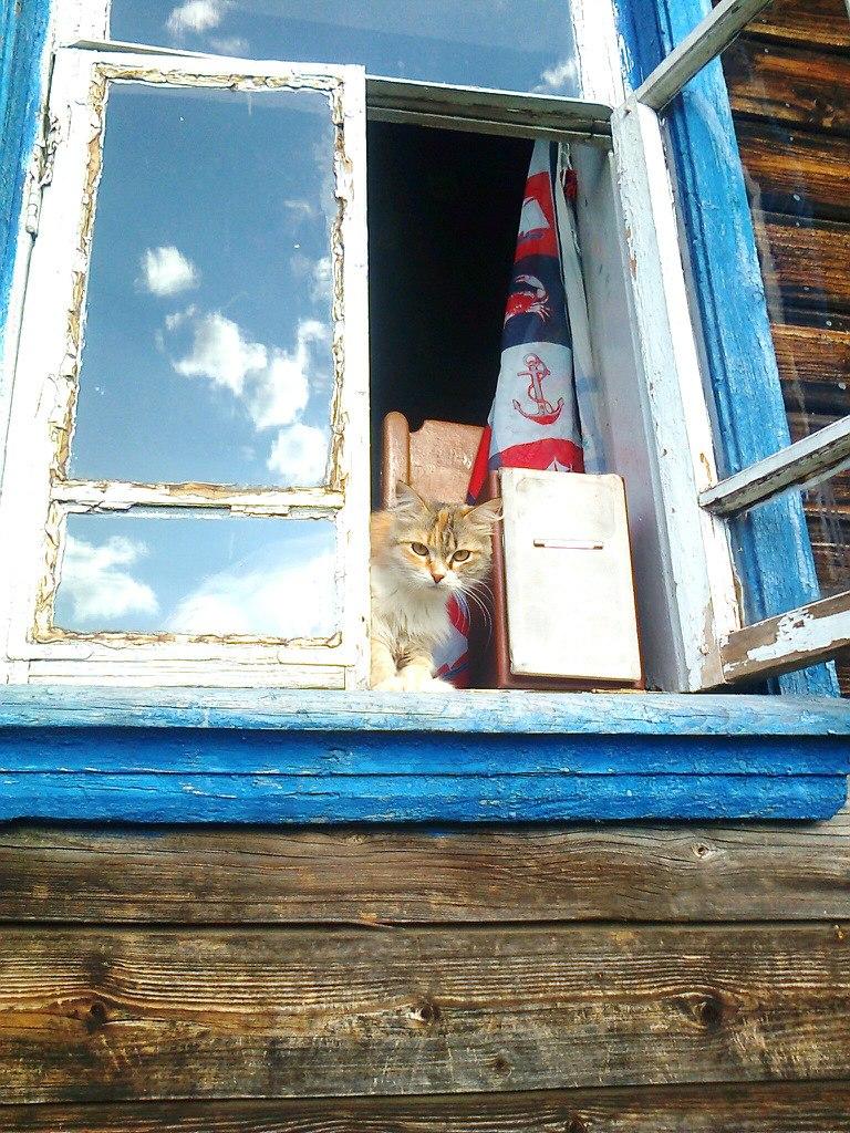 Стих на 100летие моего дома