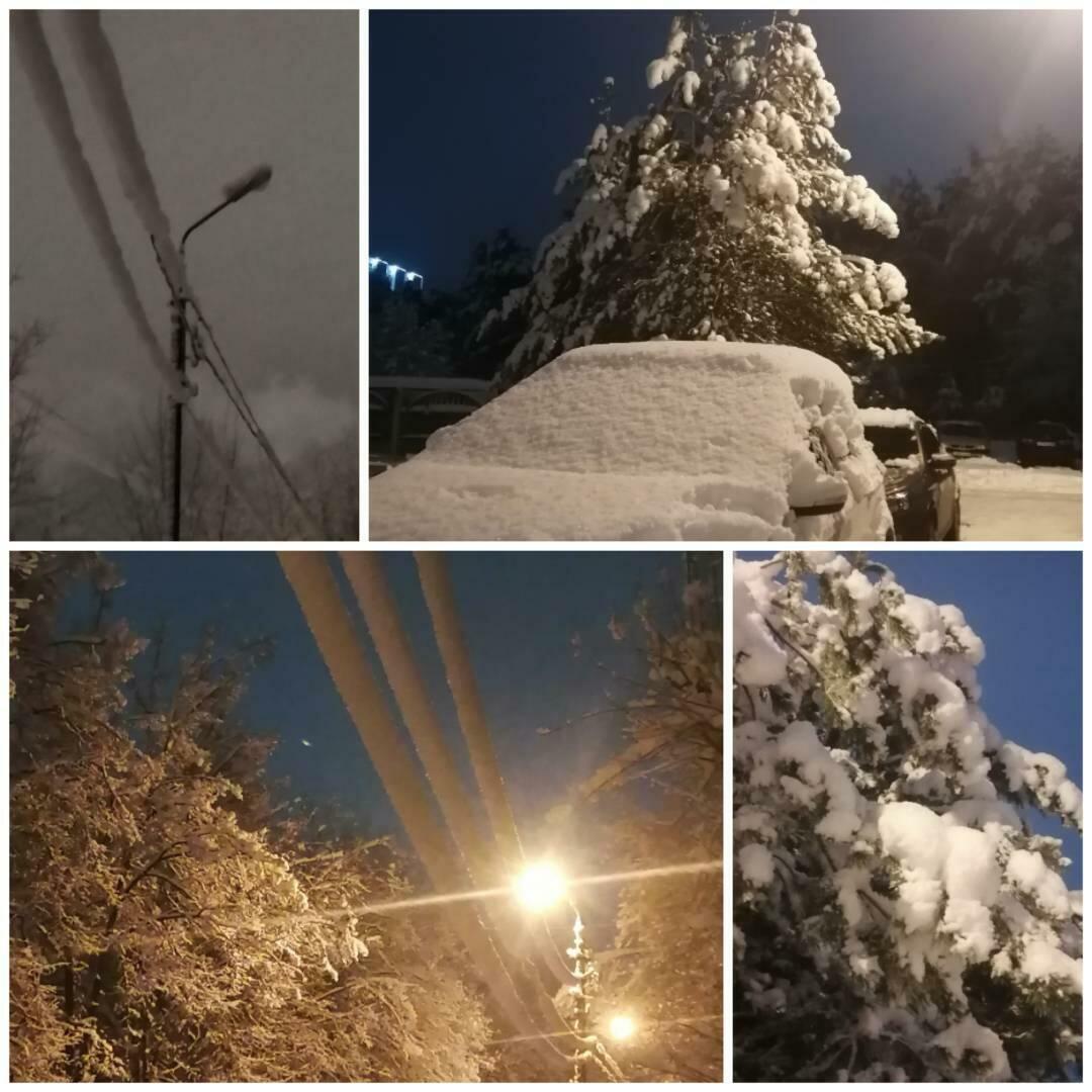 Улетела, но обещала вернуться