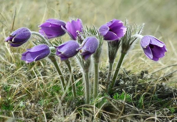 НА ДУШЕ ЗАСКРЕБЛО... ЗАТЕРЯВШИЙСЯ ХОЛМИК