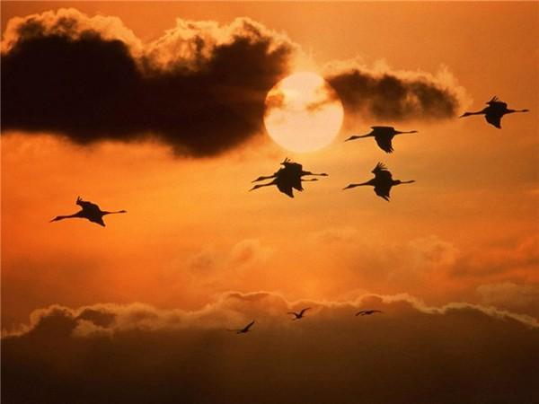 ЛЮБИМЫЕ БЕРЕГА.