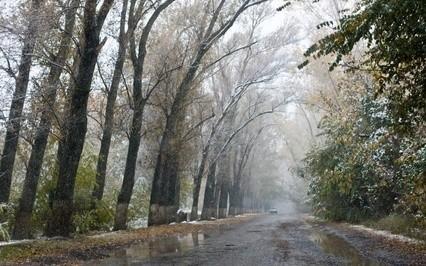 ОСТАЛАСЬ ОСЕНЬ ЗИМОВАТЬ