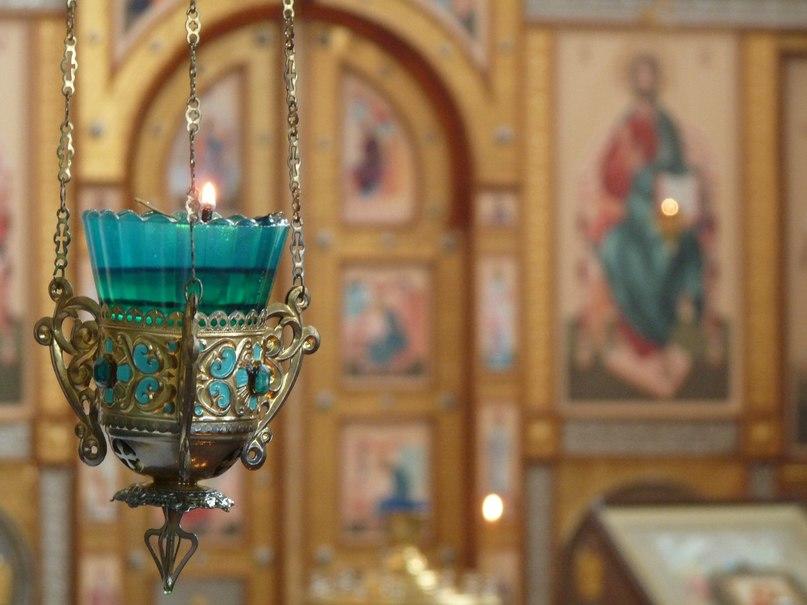 "Благодарил" (29.12.2017)