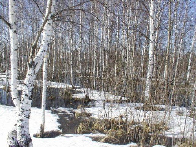 Весна наступает