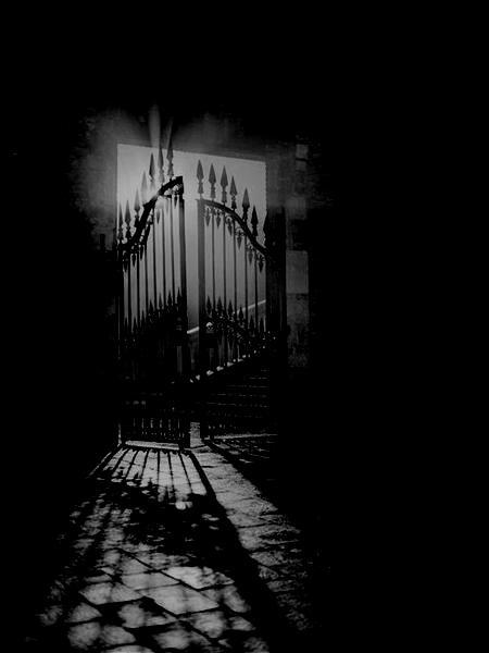 Ночная встреча