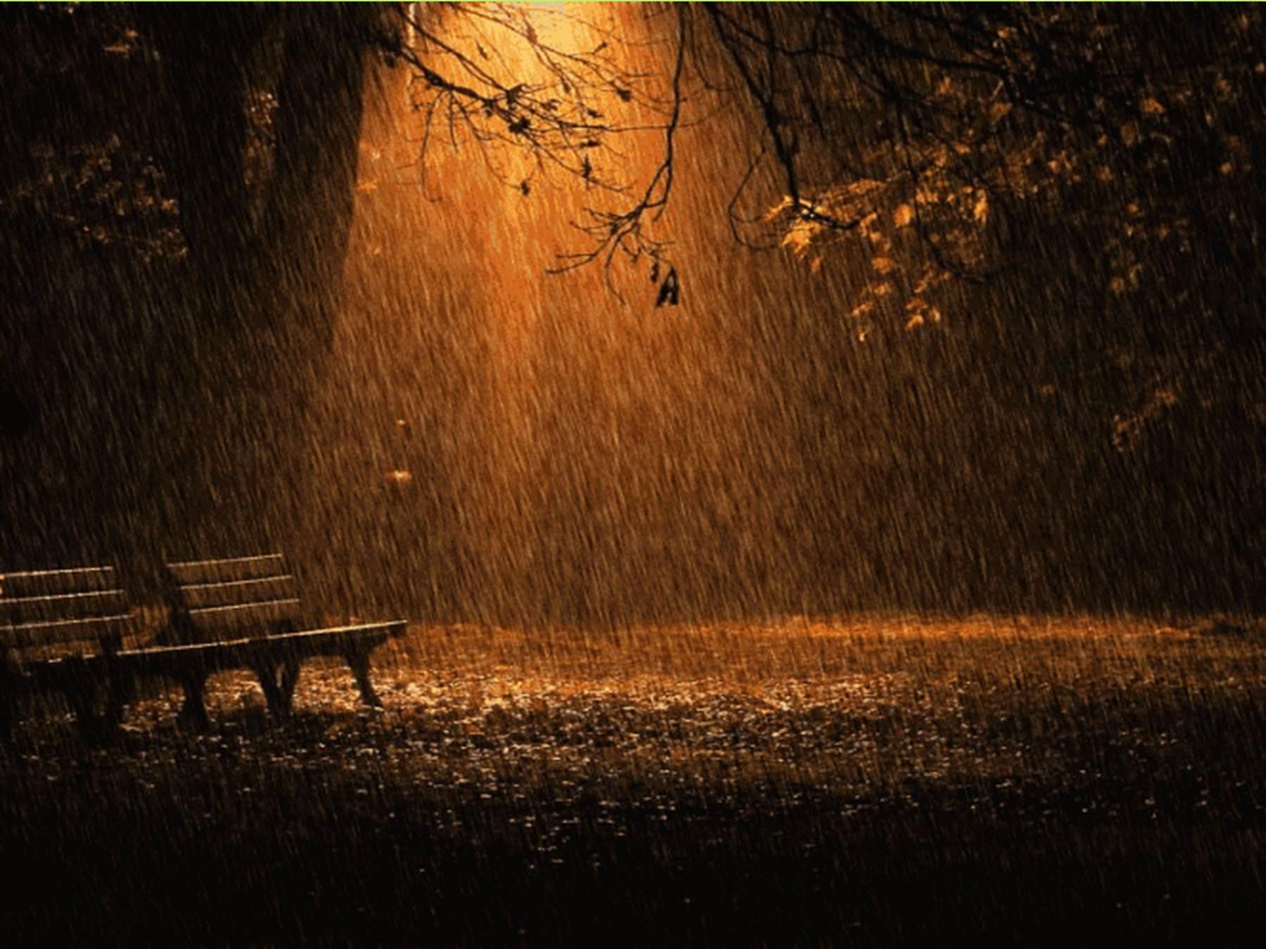 Спектакль дождливых ночей