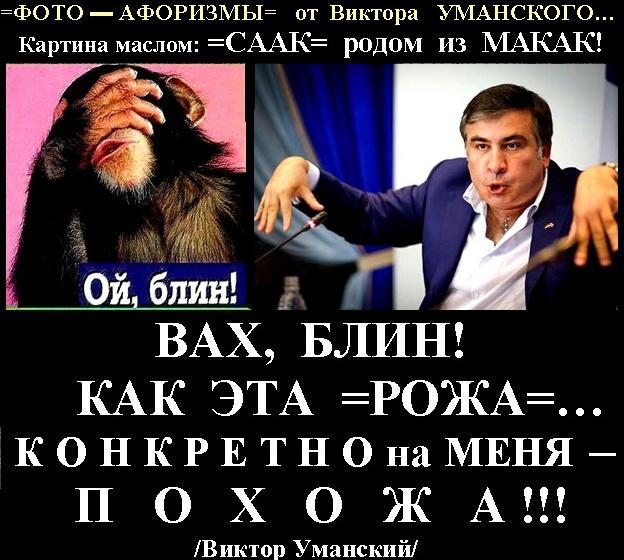 =Грузинская МАКАКА Украины=