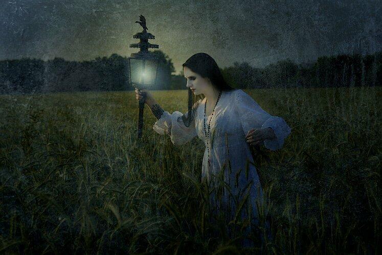 незверобойное