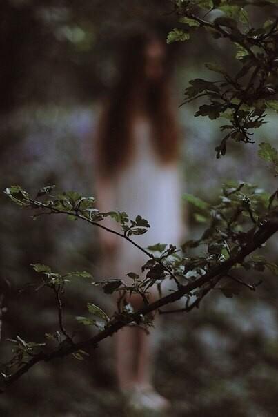 Все чувства твои - медный грош