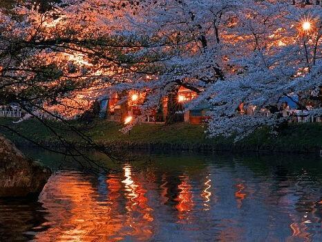 Живи  сохраняя покой...