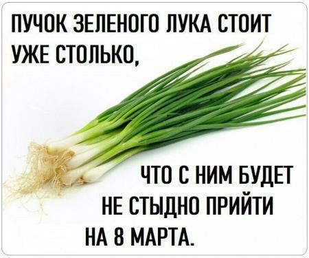 Вегетарианка. ДвуХстишье