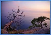 У каждого человека своя миссия