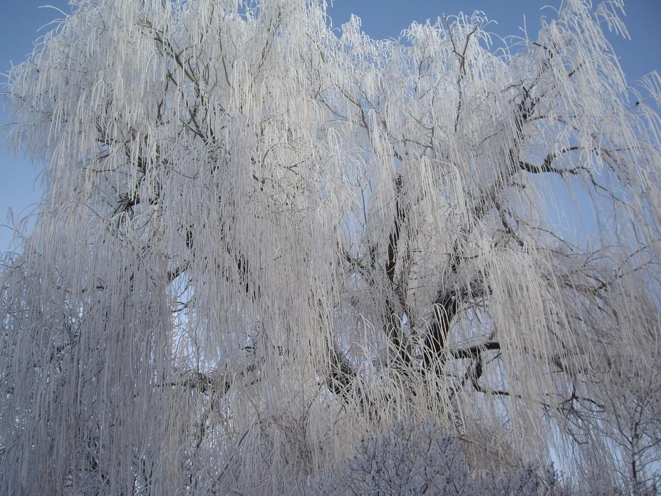 Прекрасен за окном пейзаж