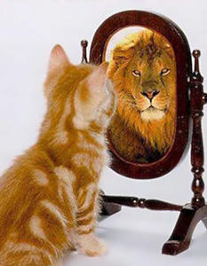 Значимость