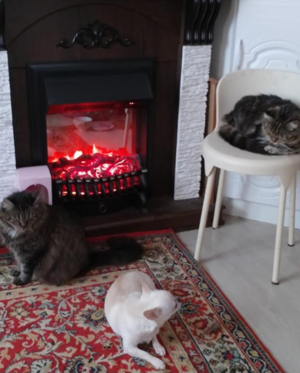 Счастья секрет